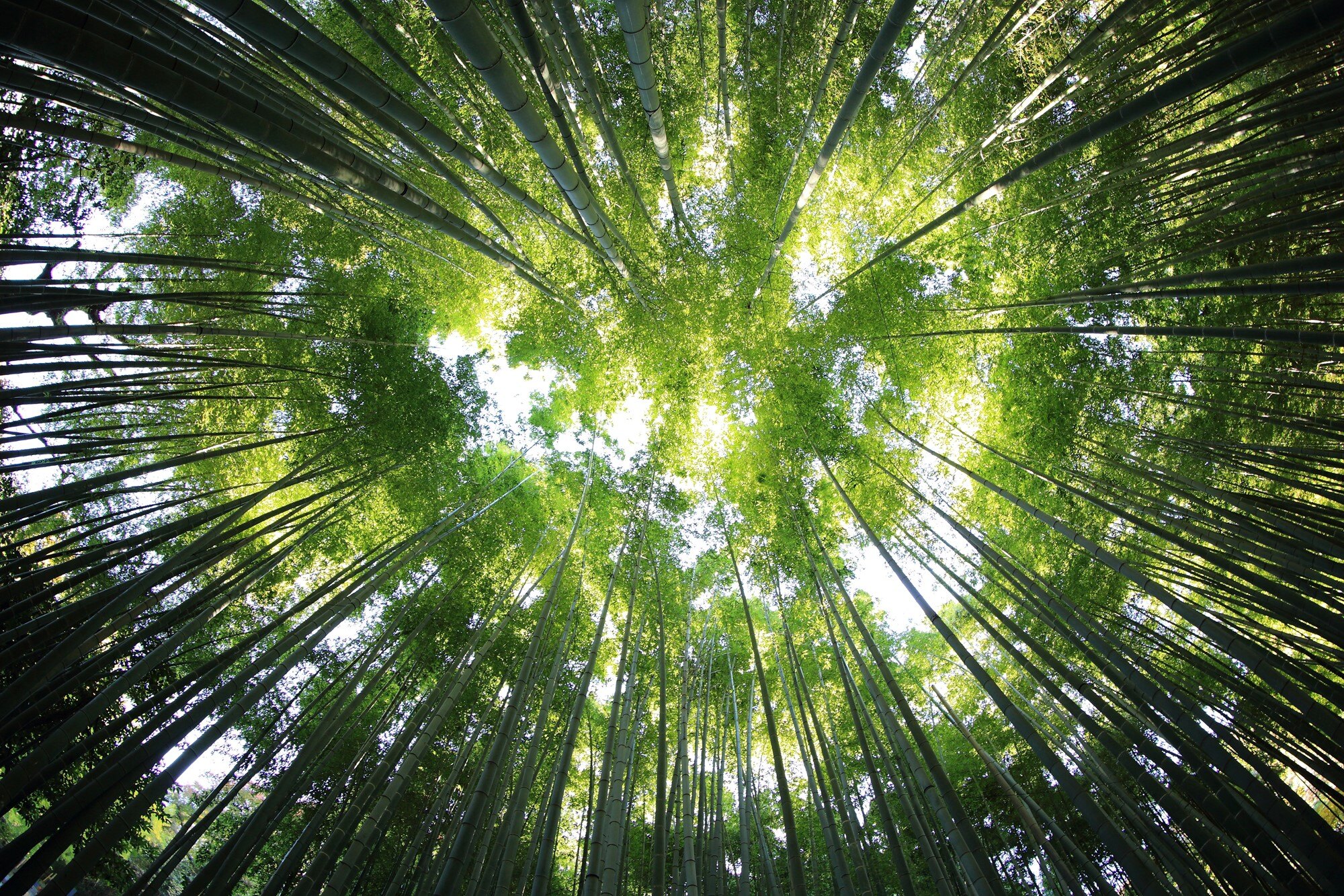 kazuend-19sc2oavzw0-unsplash