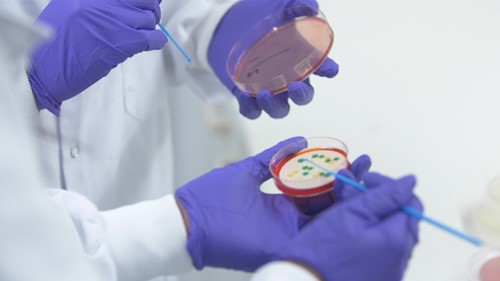 labsamples labsamples