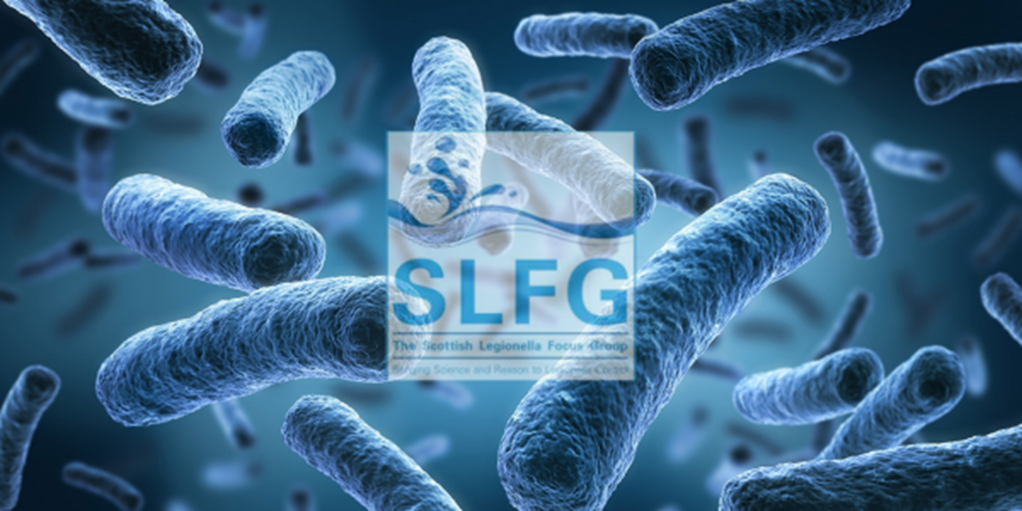 slfg