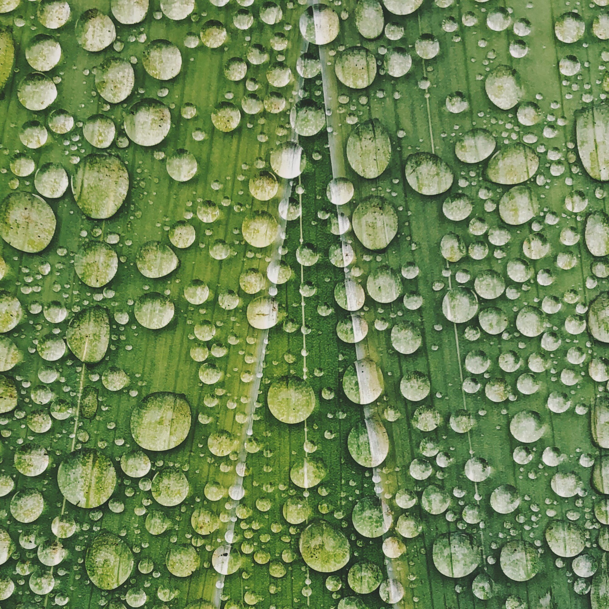 THE ENVIRONMENTAL BENEFITS OF FILMING AMINES FOR CLOSED-CIRCUIT WATER SYSTEMS