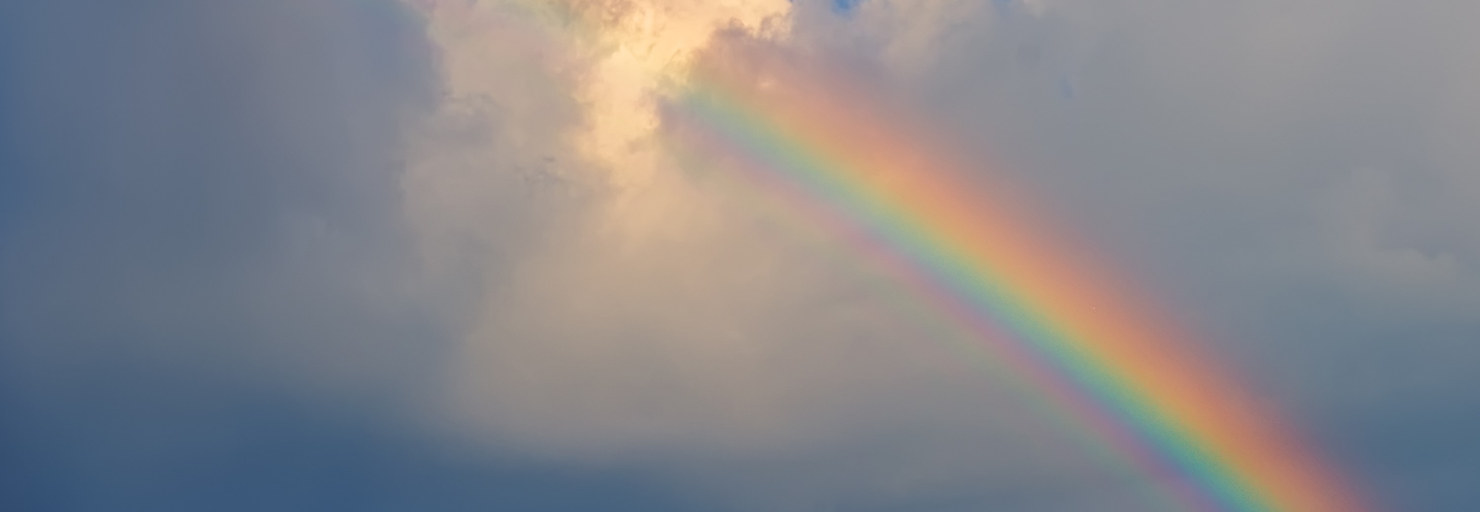 opuzpromobackground-1